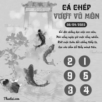 CÁ CHÉP VƯỢT VŨ MÔN 08/04/2023