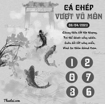 CÁ CHÉP VƯỢT VŨ MÔN 09/04/2023