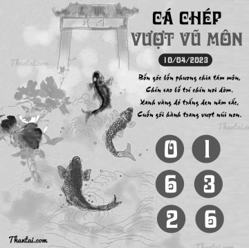 CÁ CHÉP VƯỢT VŨ MÔN 10/04/2023