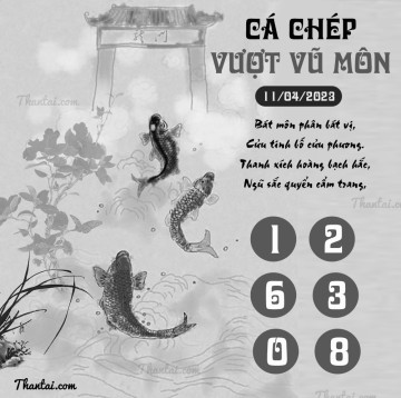 CÁ CHÉP VƯỢT VŨ MÔN 11/04/2023