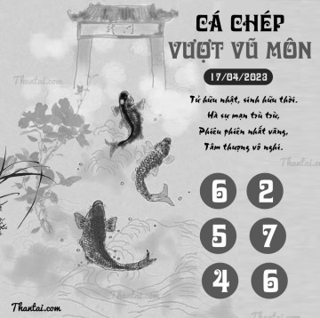 CÁ CHÉP VƯỢT VŨ MÔN 17/04/2023