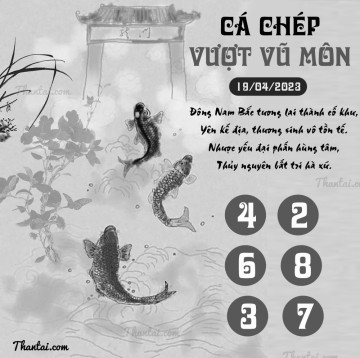 CÁ CHÉP VƯỢT VŨ MÔN 19/04/2023