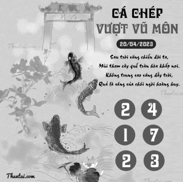 CÁ CHÉP VƯỢT VŨ MÔN 20/04/2023