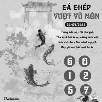 CÁ CHÉP VƯỢT VŨ MÔN 22/04/2023