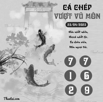 CÁ CHÉP VƯỢT VŨ MÔN 23/04/2023