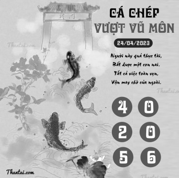 CÁ CHÉP VƯỢT VŨ MÔN 24/04/2023