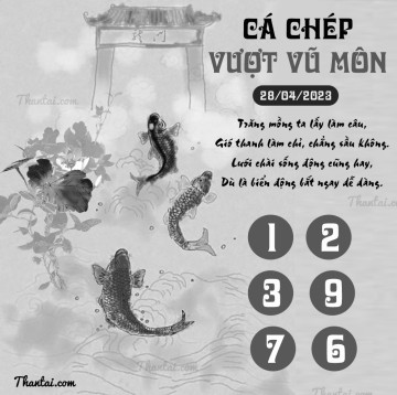 CÁ CHÉP VƯỢT VŨ MÔN 28/04/2023