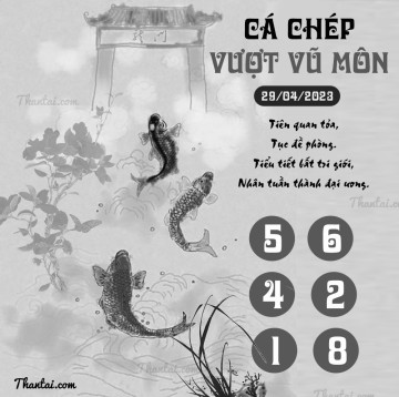 CÁ CHÉP VƯỢT VŨ MÔN 29/04/2023