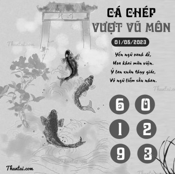 CÁ CHÉP VƯỢT VŨ MÔN 01/05/2023