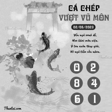 CÁ CHÉP VƯỢT VŨ MÔN 02/05/2023