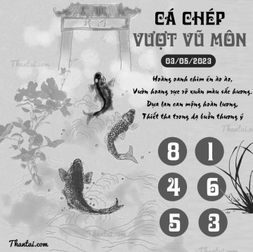 CÁ CHÉP VƯỢT VŨ MÔN 03/05/2023