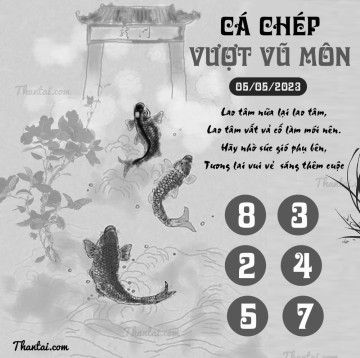 CÁ CHÉP VƯỢT VŨ MÔN 05/05/2023