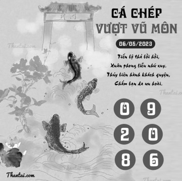 CÁ CHÉP VƯỢT VŨ MÔN 06/05/2023