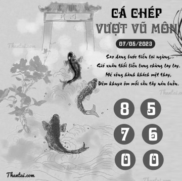 CÁ CHÉP VƯỢT VŨ MÔN 07/05/2023