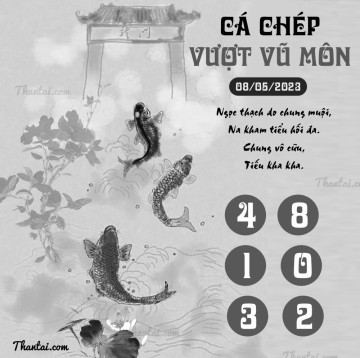 CÁ CHÉP VƯỢT VŨ MÔN 08/05/2023