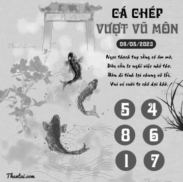 CÁ CHÉP VƯỢT VŨ MÔN 09/05/2023