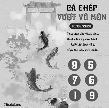 CÁ CHÉP VƯỢT VŨ MÔN 10/05/2023