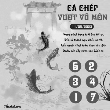 CÁ CHÉP VƯỢT VŨ MÔN 11/05/2023