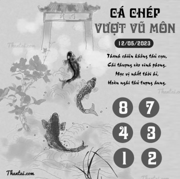 CÁ CHÉP VƯỢT VŨ MÔN 12/05/2023