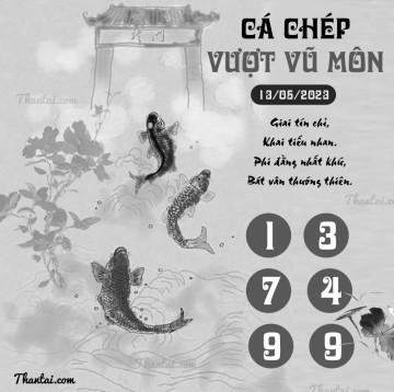 CÁ CHÉP VƯỢT VŨ MÔN 13/05/2023