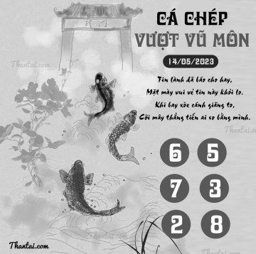 CÁ CHÉP VƯỢT VŨ MÔN 14/05/2023