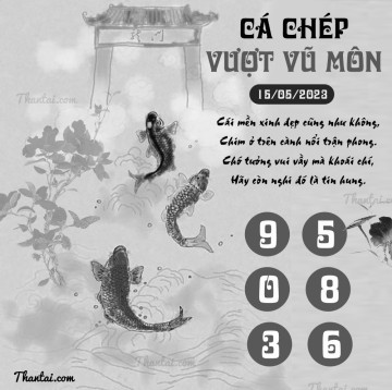 CÁ CHÉP VƯỢT VŨ MÔN 15/05/2023