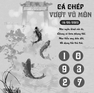 CÁ CHÉP VƯỢT VŨ MÔN 16/05/2023