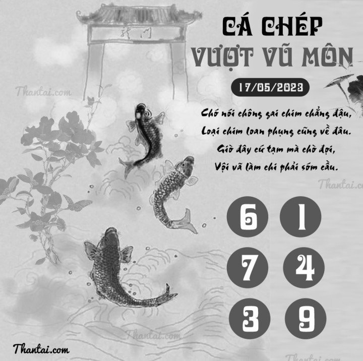 CÁ CHÉP VƯỢT VŨ MÔN 02/05/2023