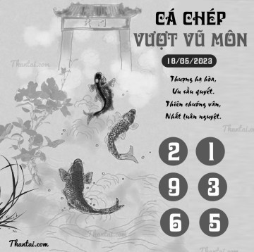 CÁ CHÉP VƯỢT VŨ MÔN 18/05/2023