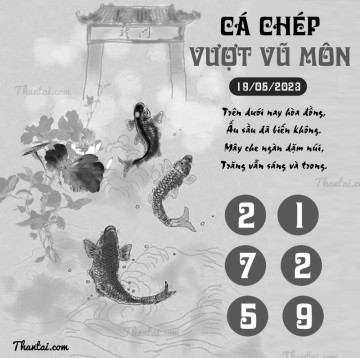 CÁ CHÉP VƯỢT VŨ MÔN 19/05/2023