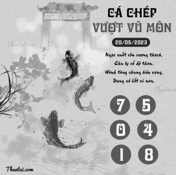 CÁ CHÉP VƯỢT VŨ MÔN 20/05/2023