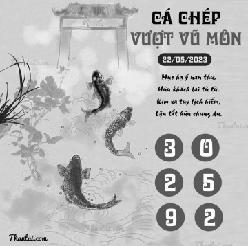 CÁ CHÉP VƯỢT VŨ MÔN 22/05/2023