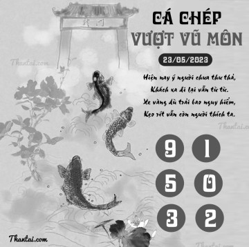 CÁ CHÉP VƯỢT VŨ MÔN 23/05/2023