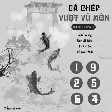 CÁ CHÉP VƯỢT VŨ MÔN 24/05/2023