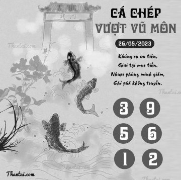 CÁ CHÉP VƯỢT VŨ MÔN 26/05/2023