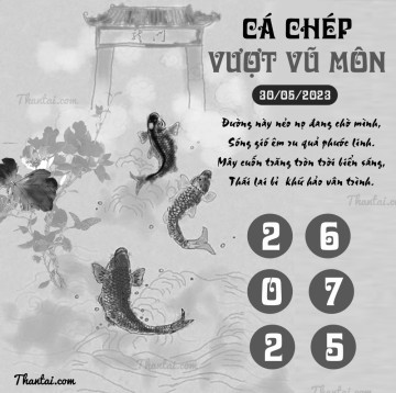 CÁ CHÉP VƯỢT VŨ MÔN 30/05/2023