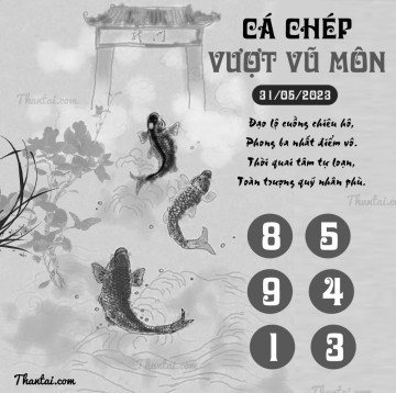 CÁ CHÉP VƯỢT VŨ MÔN 31/05/2023