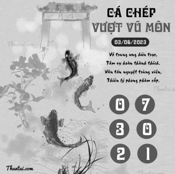 CÁ CHÉP VƯỢT VŨ MÔN 03/06/2023