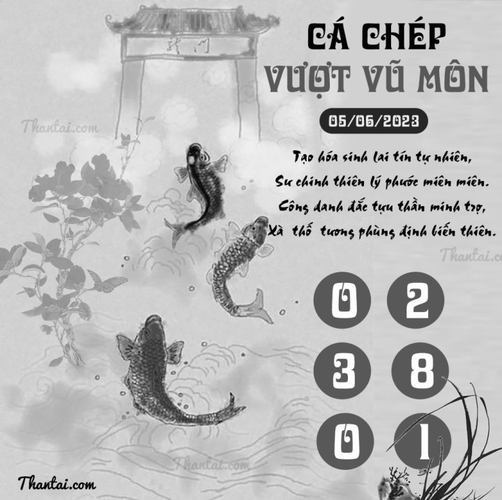 CÁ CHÉP VƯỢT VŨ MÔN 21/05/2023