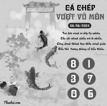 CÁ CHÉP VƯỢT VŨ MÔN 06/06/2023