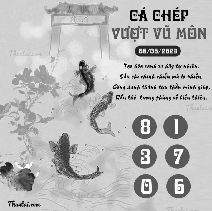 CÁ CHÉP VƯỢT VŨ MÔN 22/05/2023