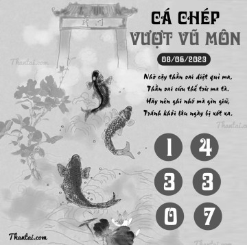 CÁ CHÉP VƯỢT VŨ MÔN 08/06/2023