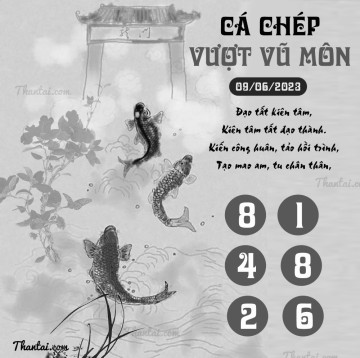 CÁ CHÉP VƯỢT VŨ MÔN 09/06/2023