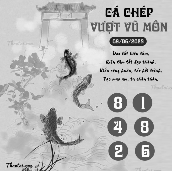 CÁ CHÉP VƯỢT VŨ MÔN 25/05/2023