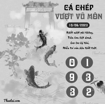 CÁ CHÉP VƯỢT VŨ MÔN 10/06/2023