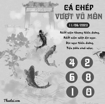 CÁ CHÉP VƯỢT VŨ MÔN 11/06/2023