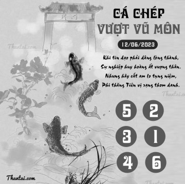 CÁ CHÉP VƯỢT VŨ MÔN 12/06/2023