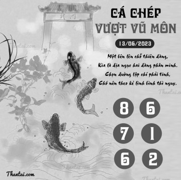 CÁ CHÉP VƯỢT VŨ MÔN 13/06/2023