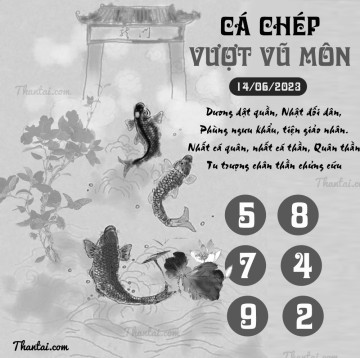 CÁ CHÉP VƯỢT VŨ MÔN 14/06/2023