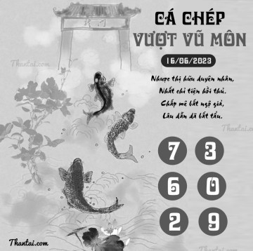 CÁ CHÉP VƯỢT VŨ MÔN 16/06/2023